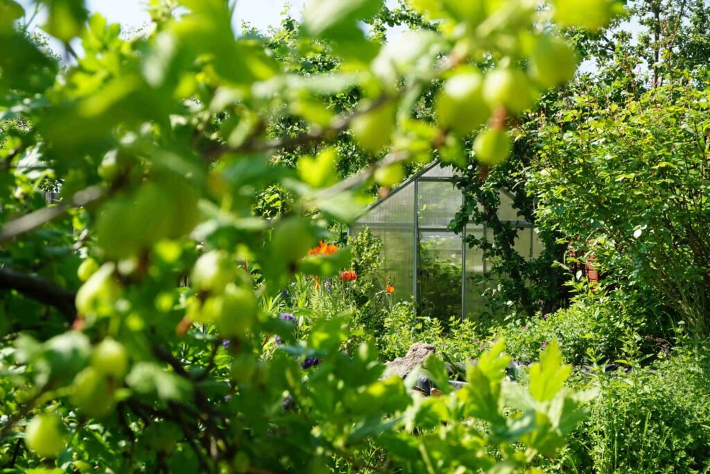 gardening for stress relief