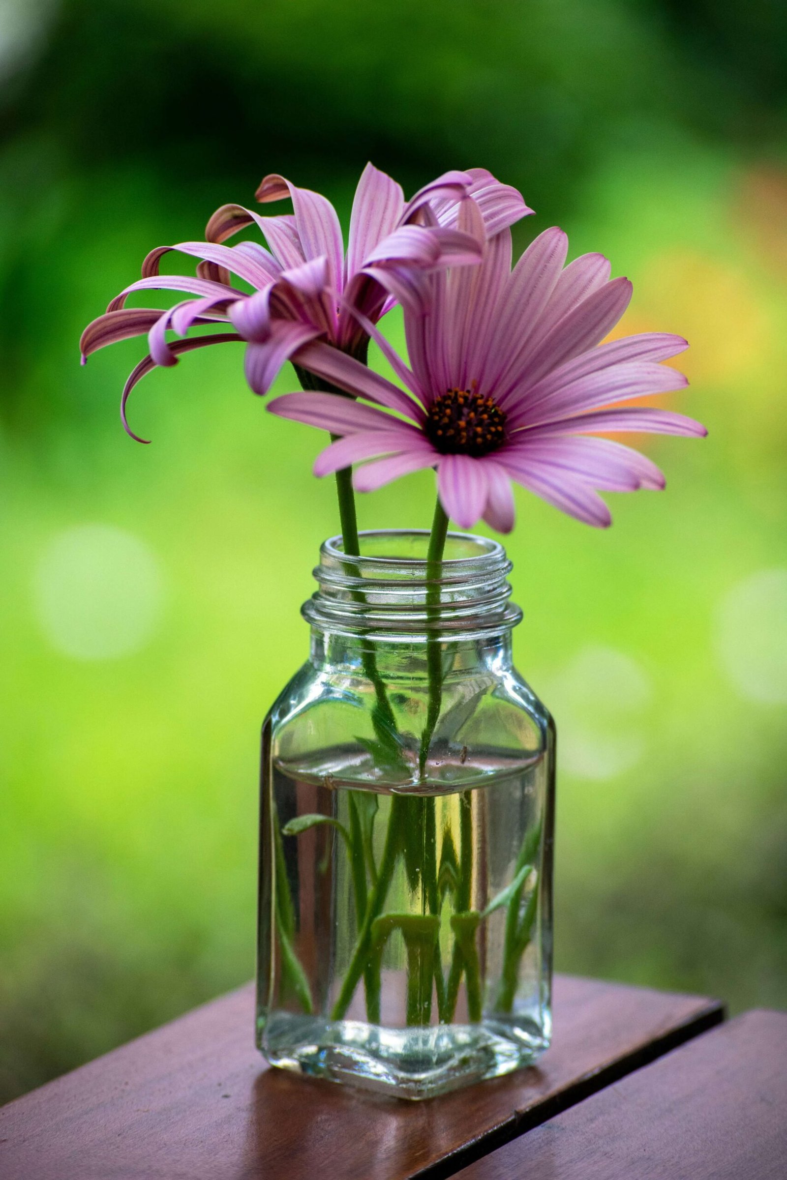 natural remedies for mental health