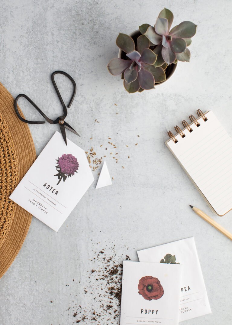 Self-Care Activities That Don’t Cost You Anything: Simple Ways to Boost Your Well-Being