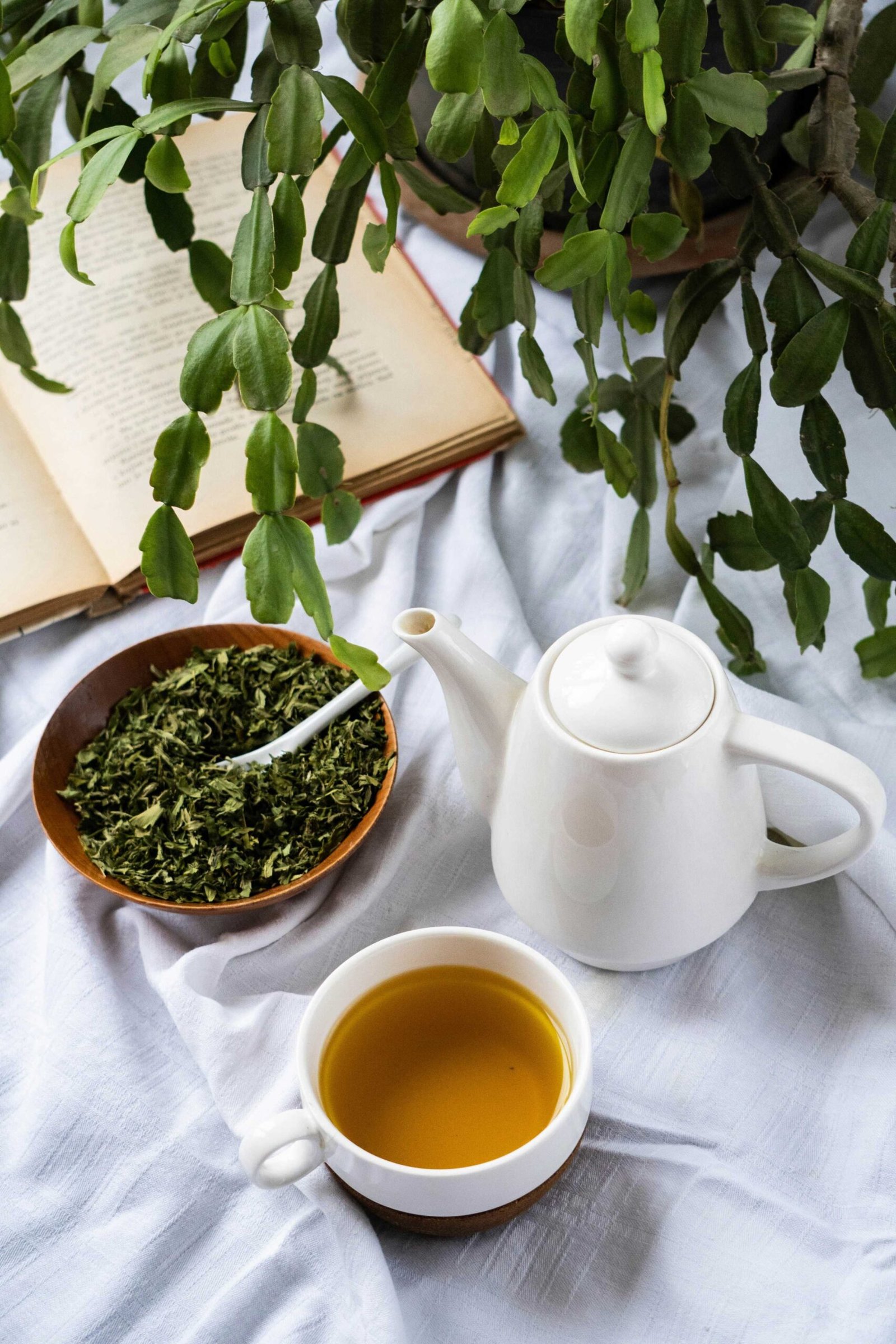 herbal tea upset stomach