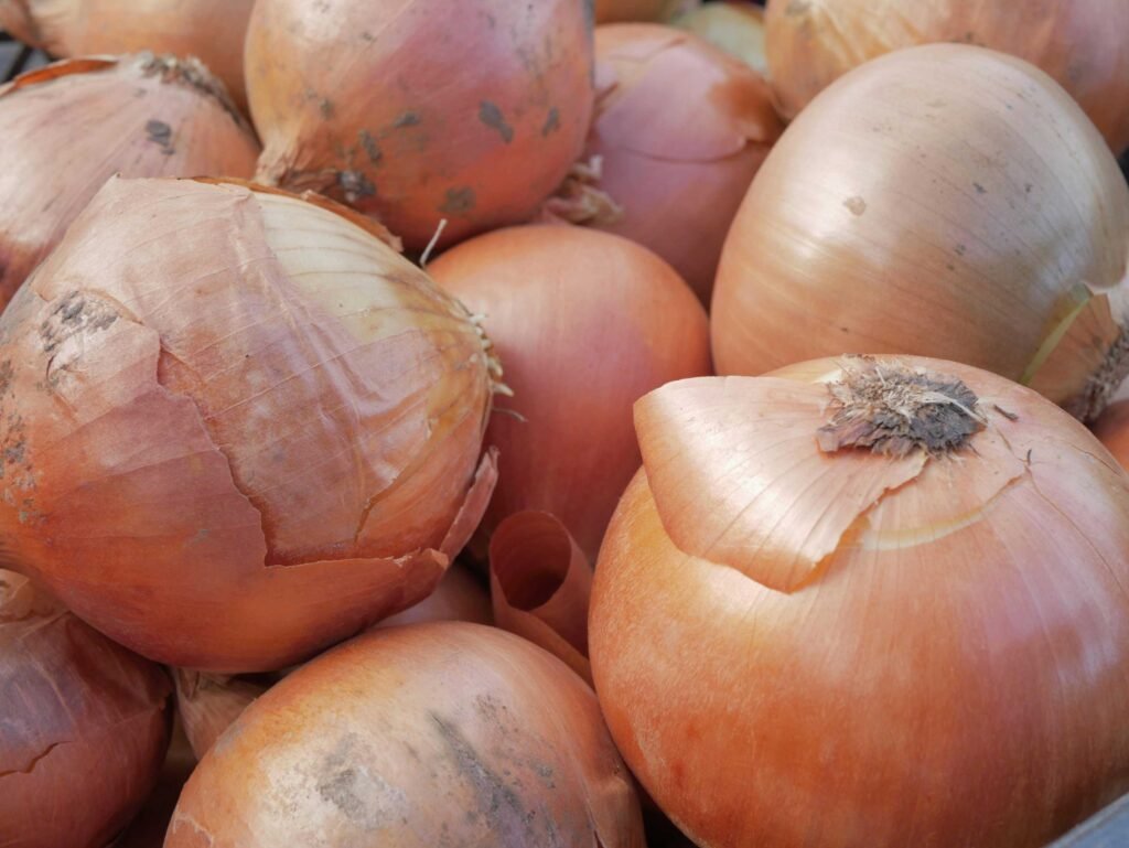 onion powder benefits